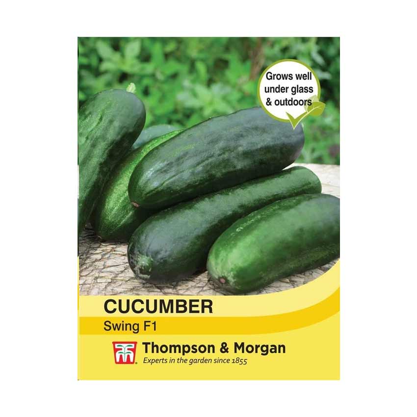 Cucumber Swing F1 Hybrid
