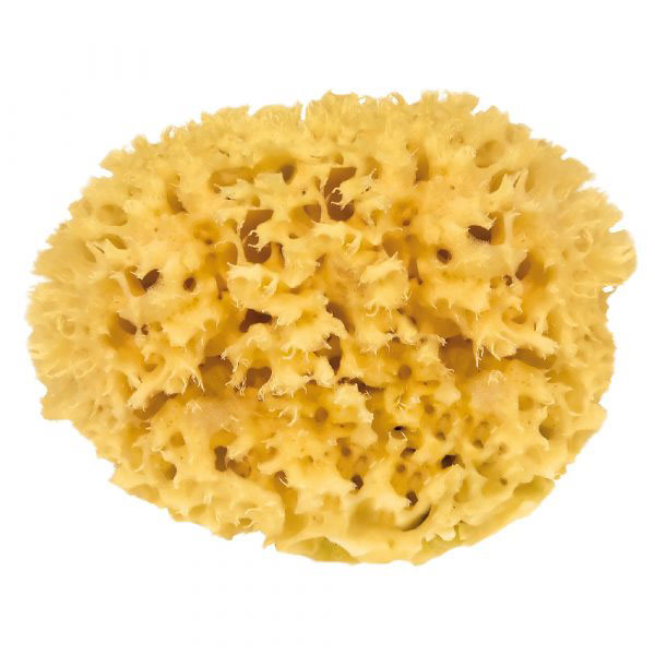 Natural Sponge 12cm