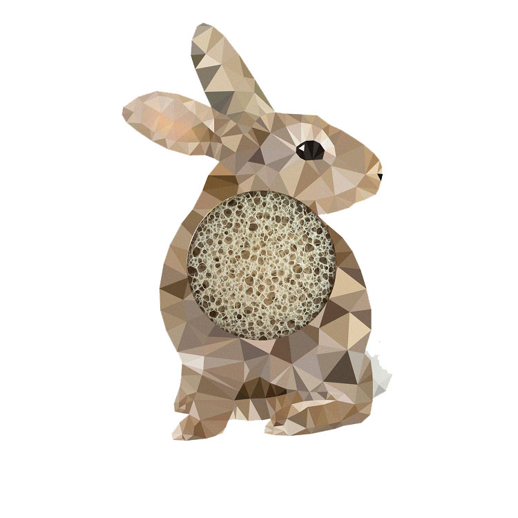 Mini Pore Definer with Green Tea - Woodland Rabbit