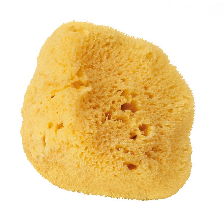 Natural Silk Sponge 15cm