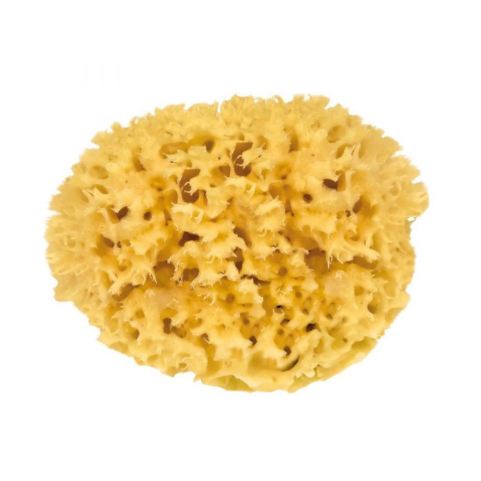 Natural Sponge 8cm