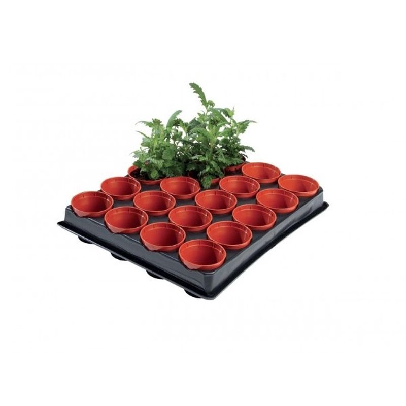 Professional Seed & Cutting Tray (20)