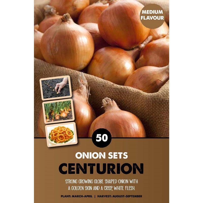 Onion Centurion