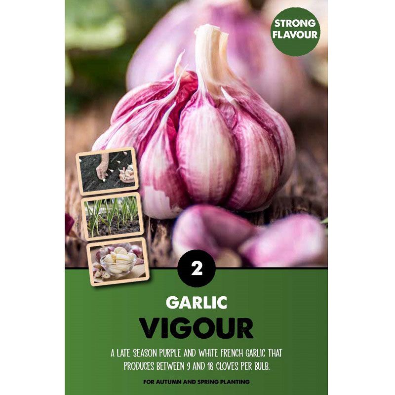 Garlic Vigour