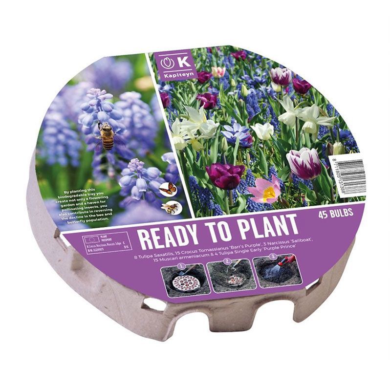 Urban Gardening - Plant-O-Mat Tray Wild Flowers (Dig, Drop, Done)