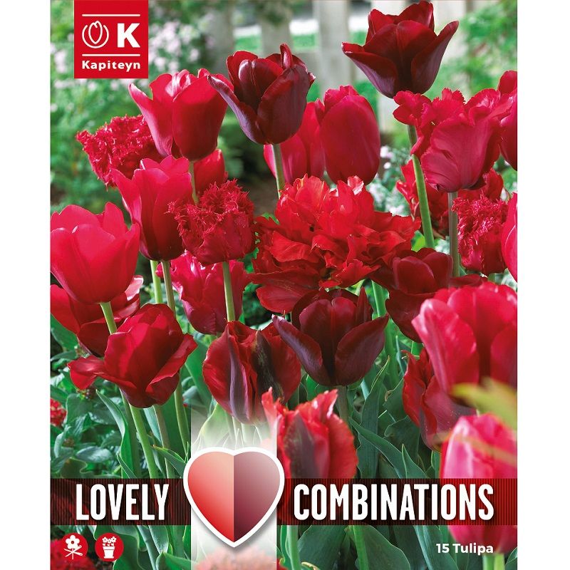 Lovely Combinations - Tulip Red Shades