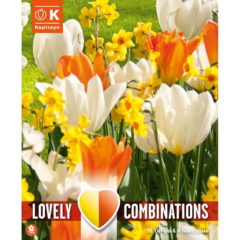 Lovely Combinations - Tulip Orange/White & Narcissus Yellow'Orange