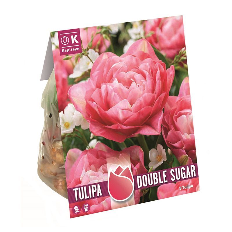 Bulbs With A Story - Tulip Double Sugar Peonyflowering Tulip