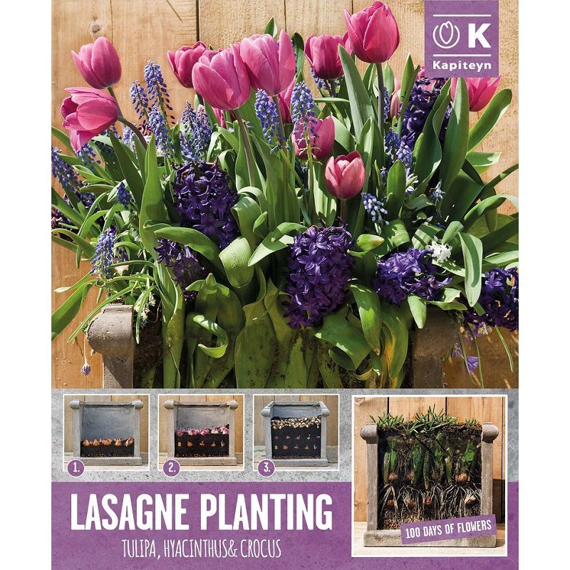 Urban Gardening - Pink & Blue Tulip, Hyacinth & Crocus (Lasagne Pack)