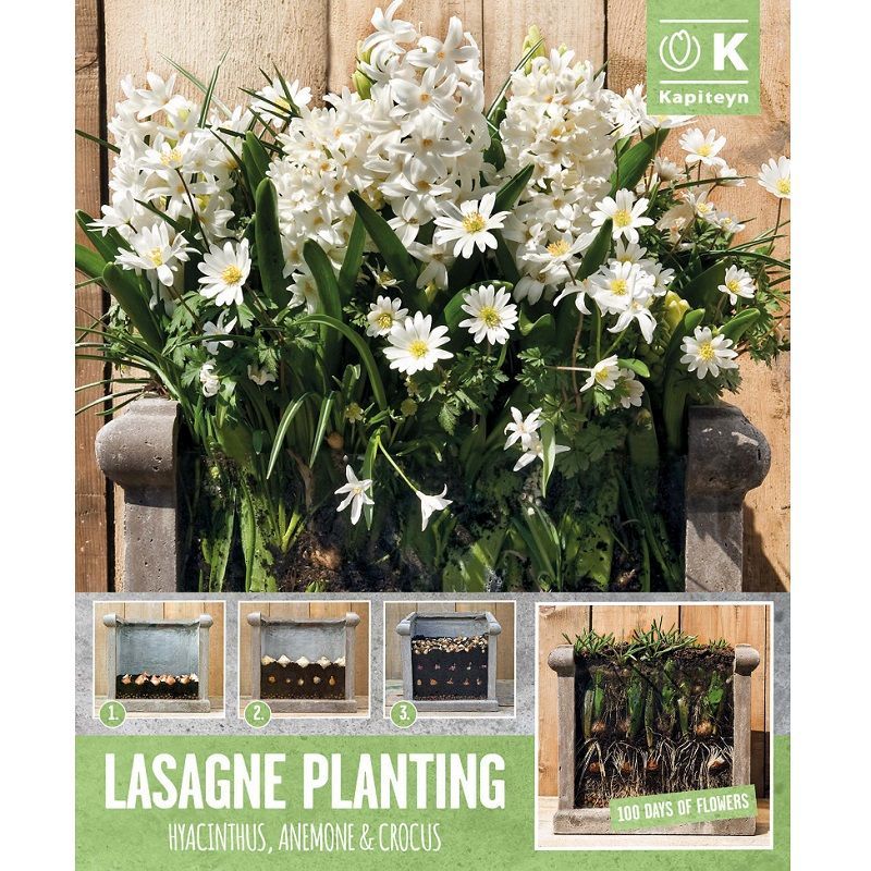 Urban Gardening - White Hyacinth, Anemone & Crocus (Lasagne Pack)