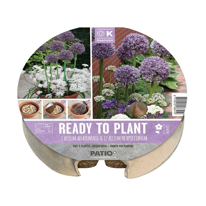 Urban Gardening - Plant-O-Mat Tray Allium (Dig, Drop, Done)