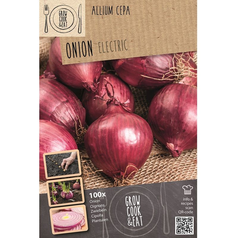 Grow, Cook, Eat - Onion 'Electric'