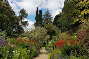 Garden Walkway in Kilmacurragh National botanical gardens