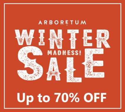 Winter Sale All Departments