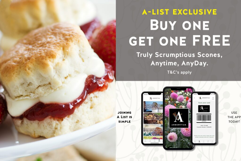 Buy 1 Get 1 Free Scones February A List Offer